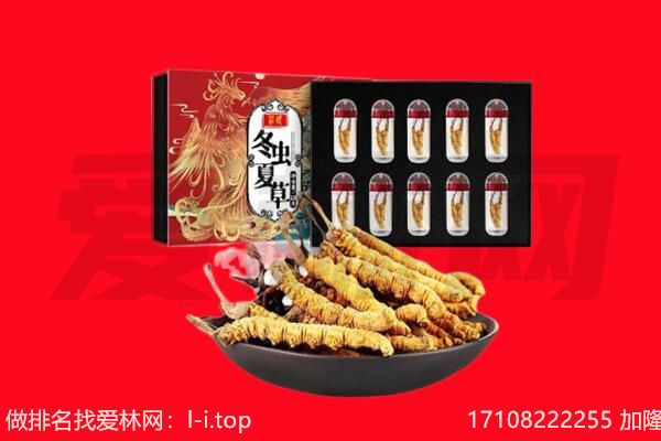 佳木斯桦川回收虫草.jpg